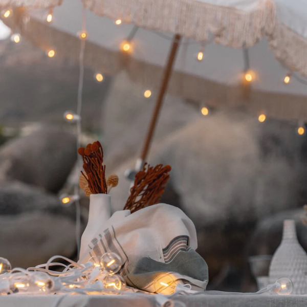 Mini Bulb Festoon Light -  White Wire 